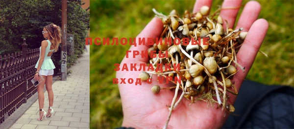 марки nbome Арсеньев